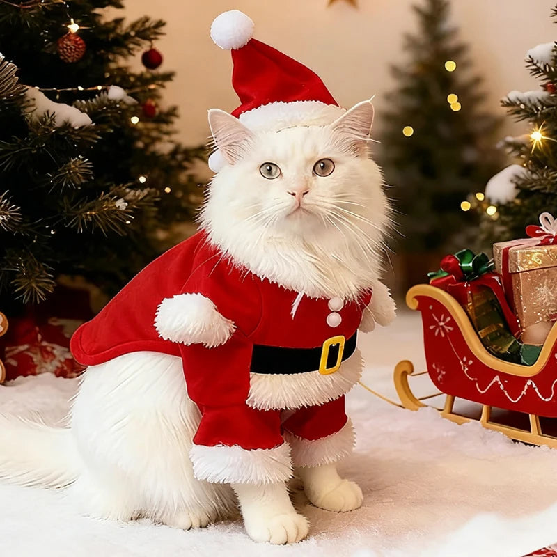 Santa Claus Christmas Pet Costume for Small & Medium Dogs & Cats