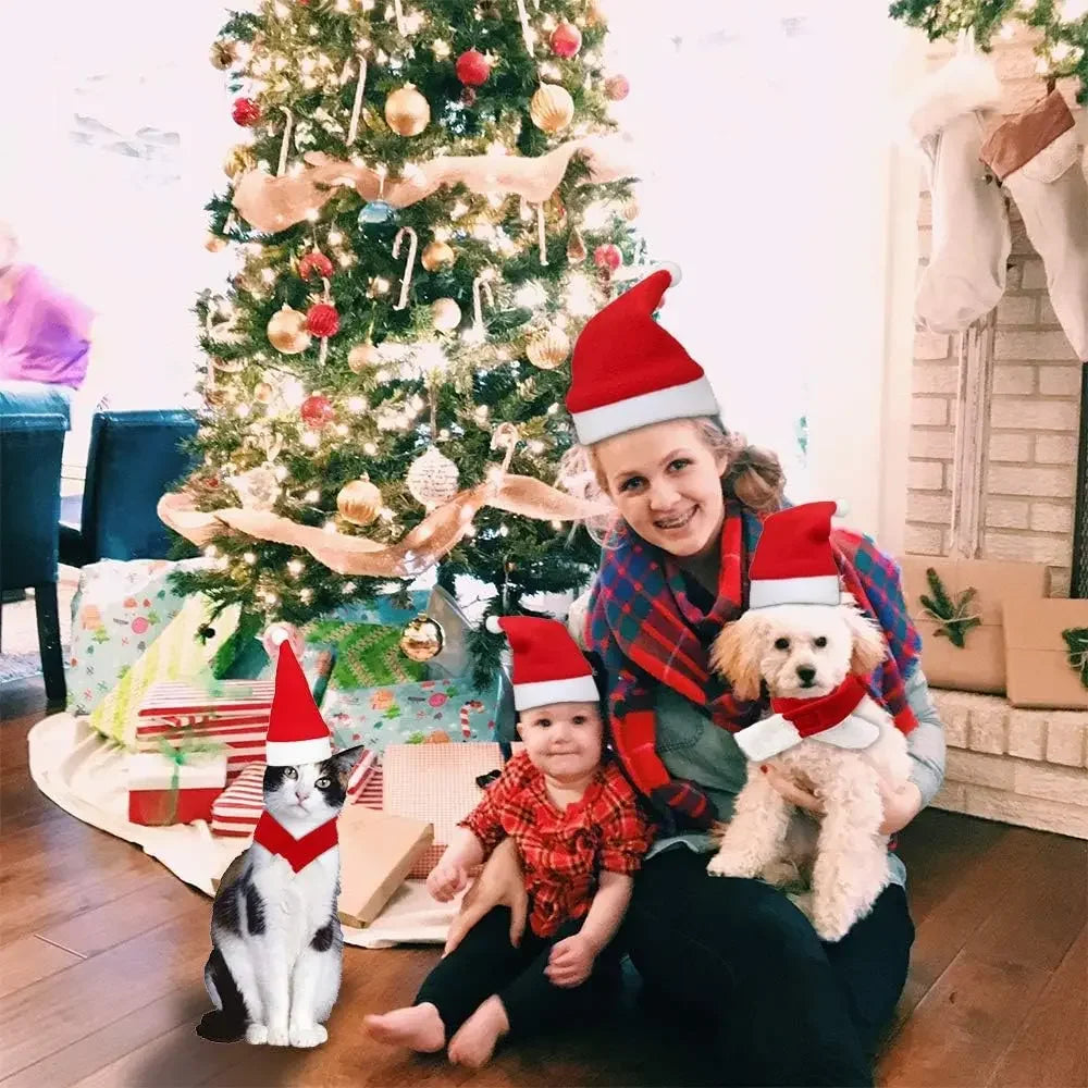Christmas Pet Santa Hat & Scarf Set – Adjustable Costume for Dogs & Cats
