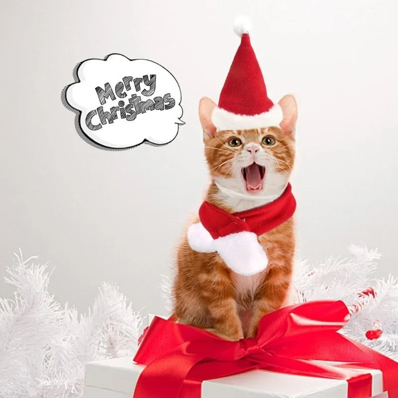 Christmas Pet Santa Hat & Scarf Set – Adjustable Costume for Dogs & Cats